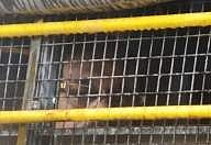 மும்பை தொடர் குண்டு வெடிப்பு வழக்கில் தொடர்புடைய முஸ்தபா டோசா மாரடைப்பால் காலமானார்