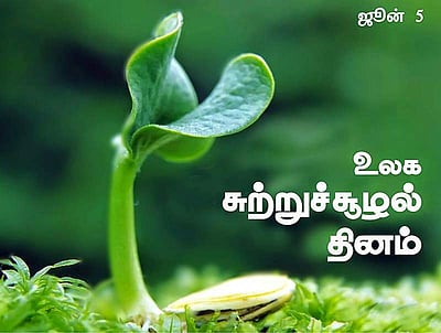 ஜூன் 5 - உலக சுற்றுச் சூழல் தினம் இன்று!