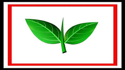 அதிமுகவில் களை கட்டும் அதிகார யுத்தம்! இன்னும் மிச்சமிருக்கிறதா வேடிக்கை வினோதக் காட்சிகள்?!
