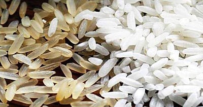 ஹைதராபாத்தில் பிளாஸ்டிக் அரிசி விற்பனையா? தெலங்கானா அரசு விசாரணை