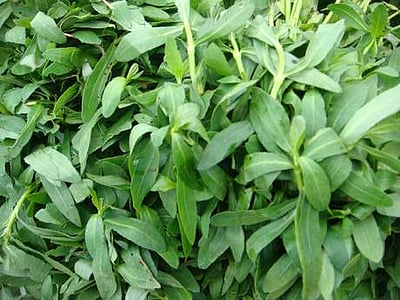 உடல் எடையை அதிகரிக்க உதவும் அருமருந்து