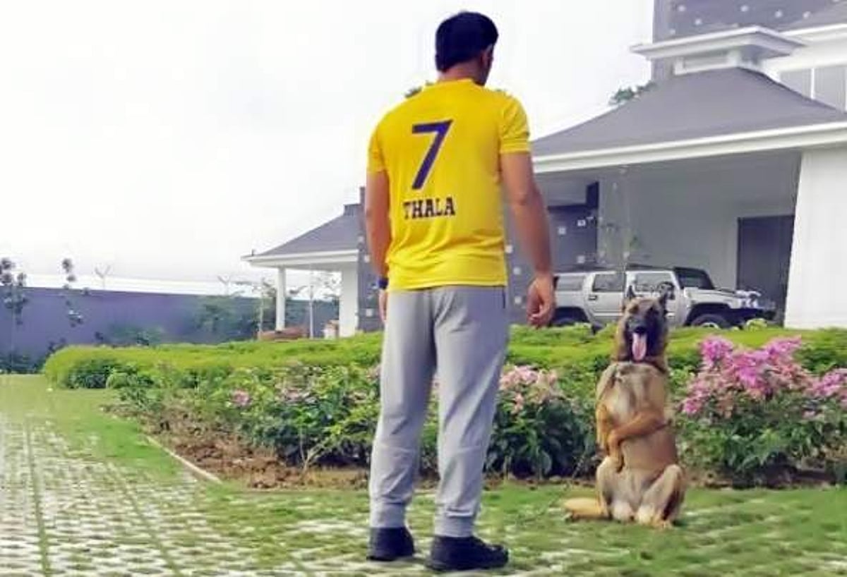 'நான் திரும்ப வந்துட்டேன்னு சொல்லு'- 'தல' தோனியின் 'மெர்சல்' ஃபர்ஸ்ட் லுக்...!