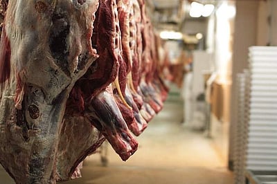 மகாராஷ்டிராவில் விரைவில் மாட்டிறைச்சியை கண்டறியும் கருவி: அரசு அறிவிப்பு