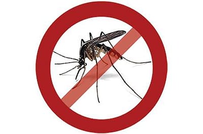 கொசு மாதிரியில் ஜிகா வைரஸ்: அண்டை மாநிலத்தில் அலர்ட்