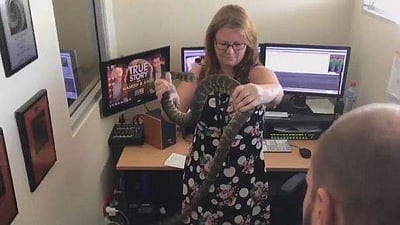 அலுவலகத்துக்குள் வந்த பாம்பு! அதிர்ச்சியடையாத பெண்