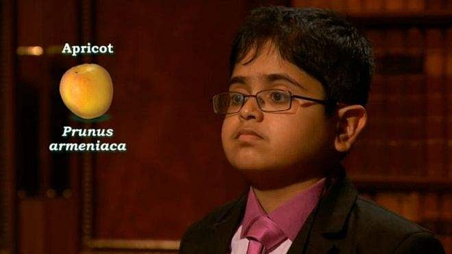 பிரிட்டிஷ் டி.வி ஷோவால், ஓரிரவில் ஹீரோவான இந்திய வம்சாவளிச் சிறுவன்!