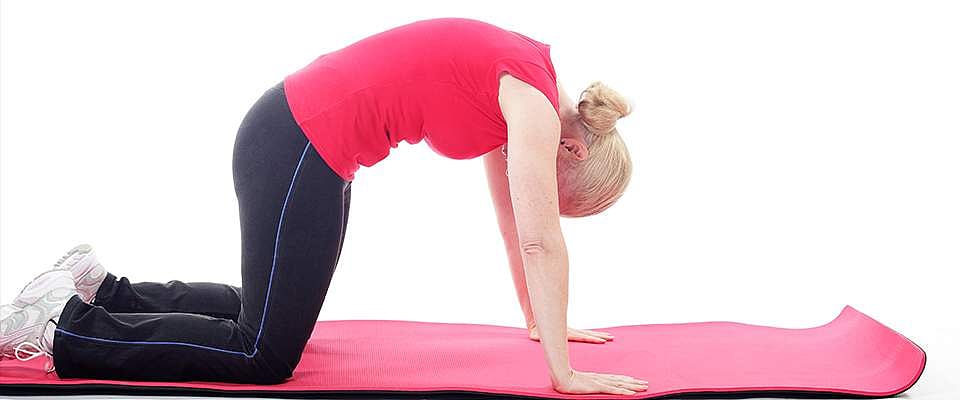 25. கோர் தசைகளும் முதுகு வலியும்