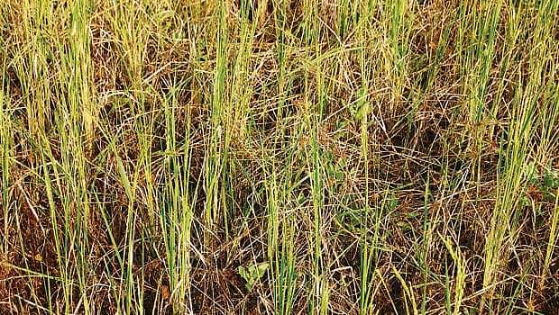 ஒரு பொருளின் ஏற்றமும் வீழ்ச்சியும்