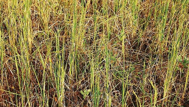 ஒரு பொருளின் ஏற்றமும் வீழ்ச்சியும்