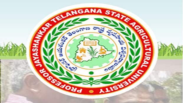 விவசாய பல்கலைக்கழகத்தில் வேலை