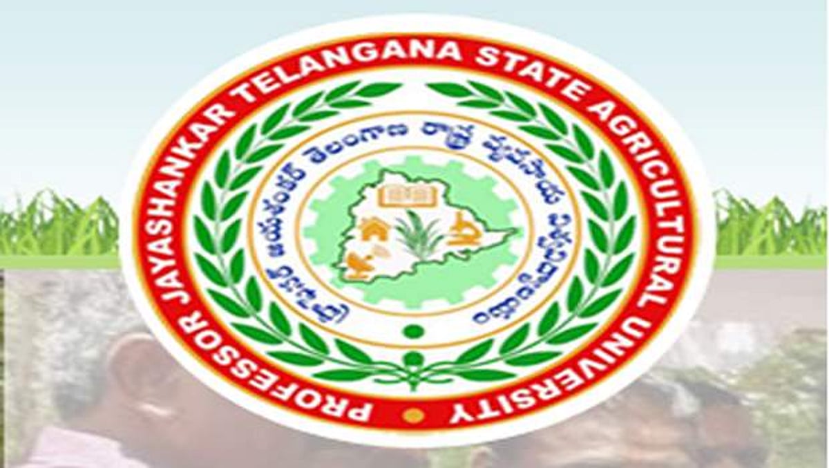 விவசாய பல்கலைக்கழகத்தில் வேலை