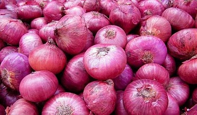 வெங்காய விலையை கட்டுக்குள் வையுங்க: மாநில அரசுகளுக்கு மத்திய அரசு அறிவுரை!