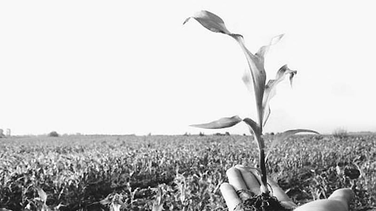 விவசாயிகளை விட்டு விலகும் வேளாண் அலுவலர்கள்! கேள்விக்குறியாகும் உணவு உற்பத்தி