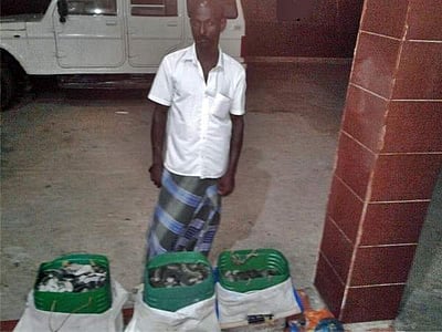 100 கிலோ கடல் அட்டைகள் பறிமுதல்: ஒருவர் கைது