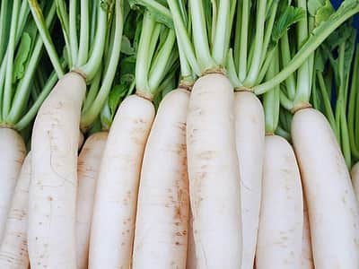 முள்ளங்கி மகத்துவம்!