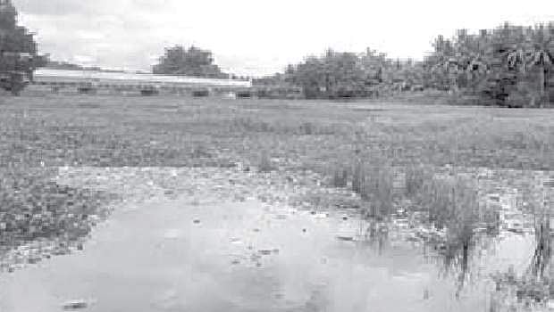 ஆழியாற்றில் கலக்கும் கழிவுநீர்: கேள்விக்குறியாகும் 15 லட்சம் மக்களின் சுகாதாரம்