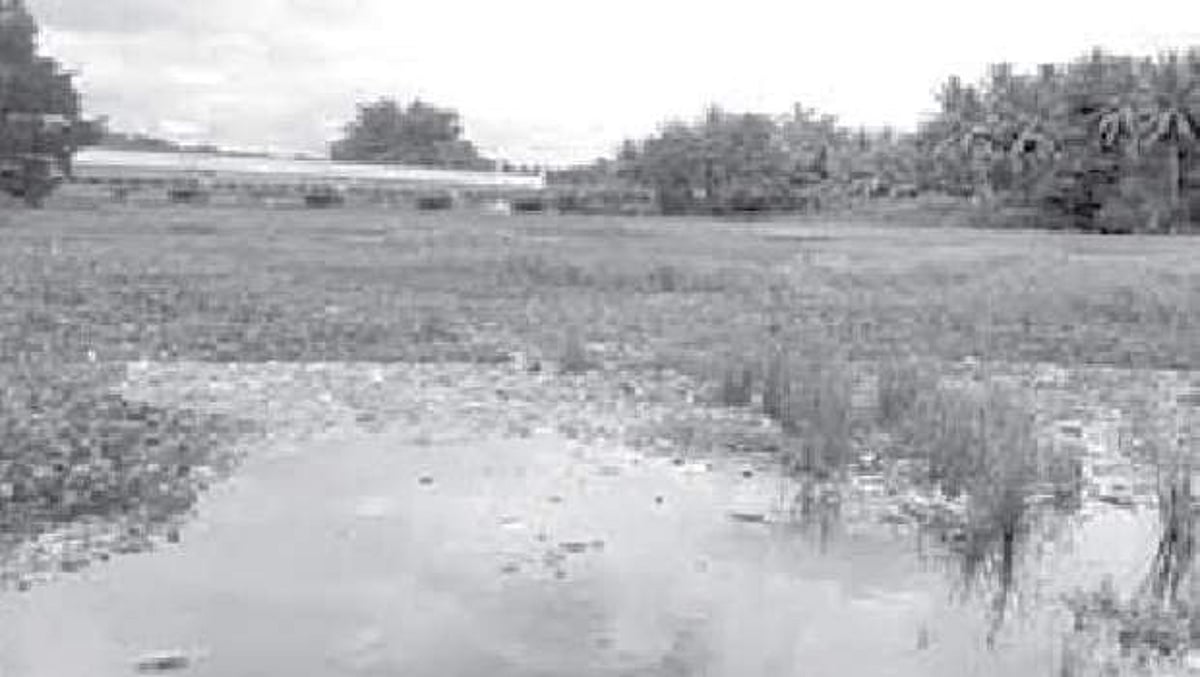 ஆழியாற்றில் கலக்கும் கழிவுநீர்: கேள்விக்குறியாகும் 15 லட்சம் மக்களின் சுகாதாரம்