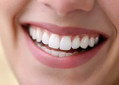 பற்களும் முட்செடியும்... பிழையற்ற தமிழ் அறிவோம் - 71
