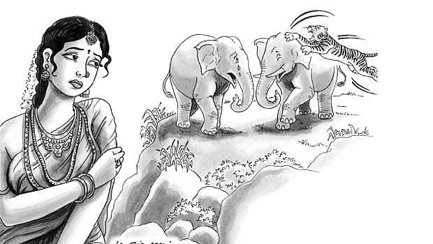 புலியின் கைகள்