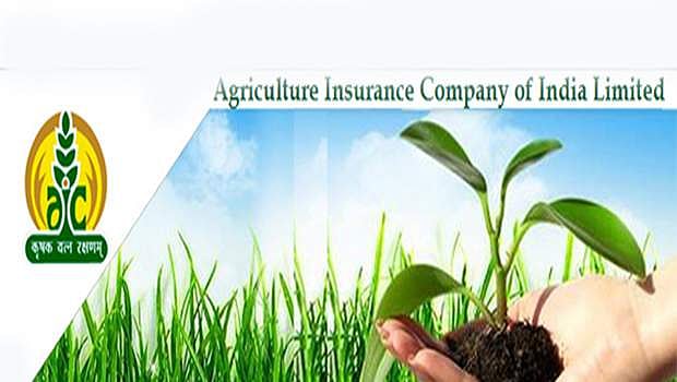 இந்தியாவின் வேளாண் காப்பீட்டு நிறுவனத்தில் நிர்வாக அதிகாரி வேலை