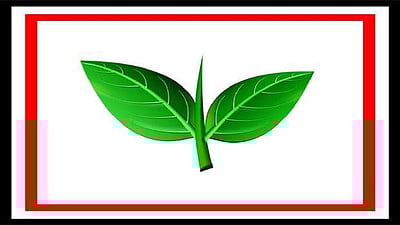 அதிமுகவின் இரட்டை இலைச் சின்னம் விவகாரம் உயா்நீதிமன்றத்தை அணுக மனுதாரருக்கு உத்தரவு