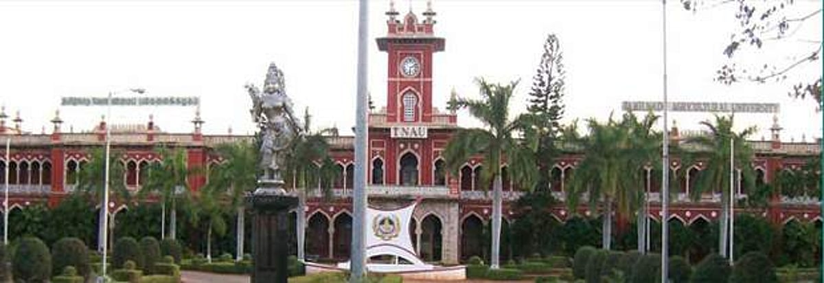 தமிழ்நாடு வேளாண்மைப் பல்கலைக்கழகம் இளநிலை உதவியாளர், தட்டச்சர் வேலை