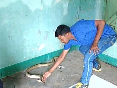 ஒடிசாவில் 5 ஆயிரத்துக்கும் மேற்பட்ட பாம்புகளைப் பிடித்த இளைஞர்!