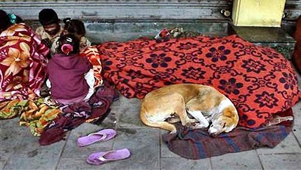 500 கி.மீ. தூரம் சபரிமலை பாதயாத்திரை முடித்து திரும்பிய 'பைரவா'!