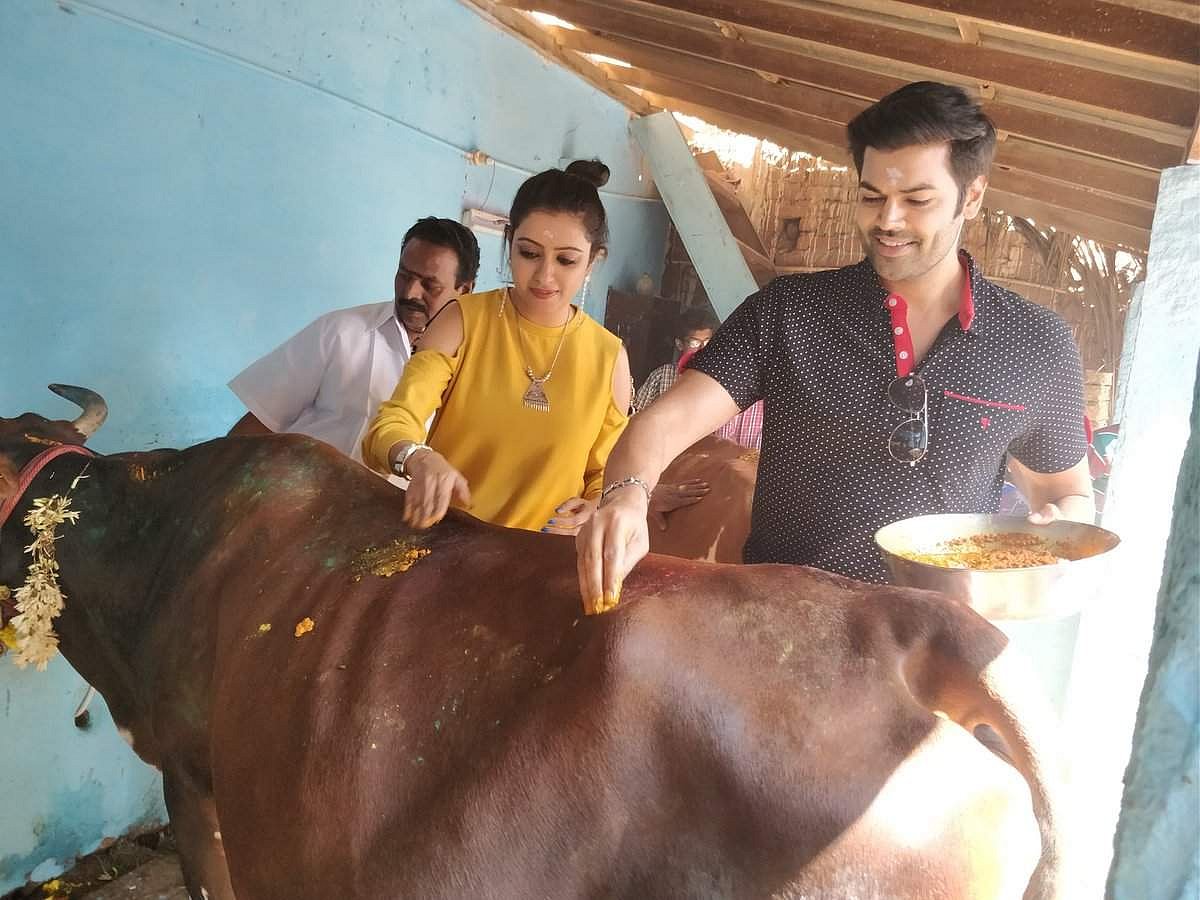 மாட்டுப் பொங்கல்: மனைவியின் கிராமத்தில் உற்சாகமாகக் கொண்டாடிய கணேஷ் வெங்கட்ராம்!