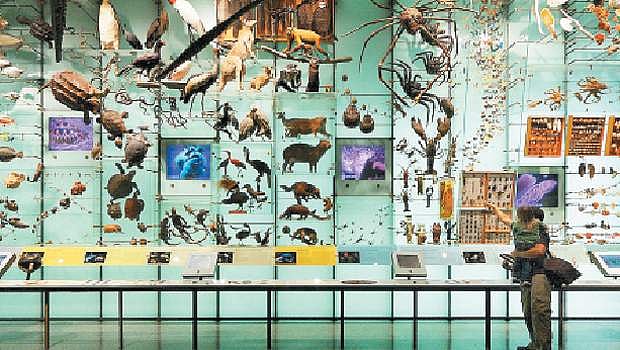 கருவூலம்: பல்லுயிரியம் (BIO DIVERSITY)