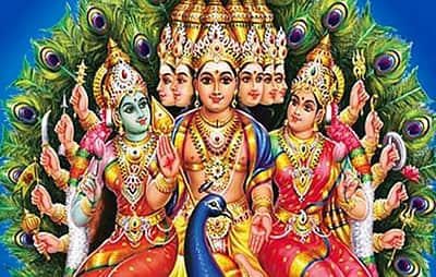 மூடிய கருப்பையும் திறக்குமாம்...முருகன் வழிபாடு