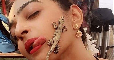 பல்லி கன்னத்தில் விழுந்தால் என்ன ஆகும்?