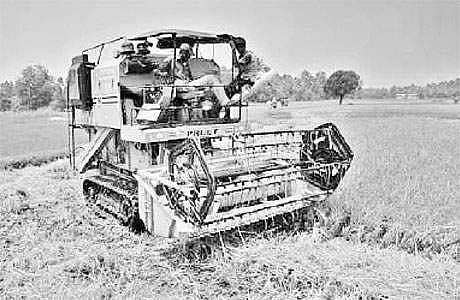 நெல் அறுவடை இயந்திரம் கிடைக்காததால் விவசாயிகள் அவதி!