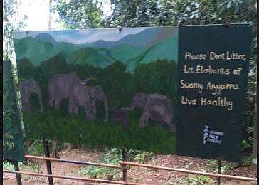 சபரிமலை யாத்திரை...