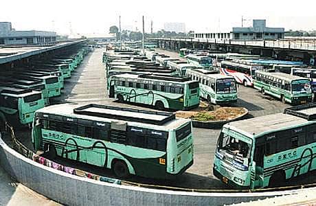 buses