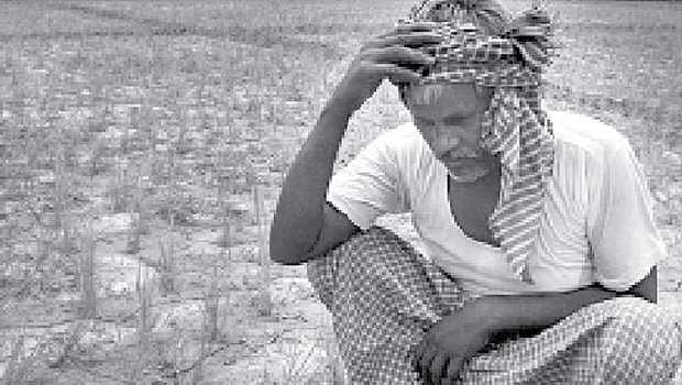 ஆதாயம் இல்லா ஆதார விலை: விரக்தியில் காவிரி-டெல்டா