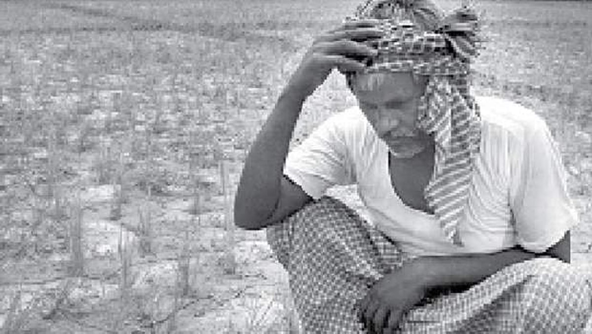 ஆதாயம் இல்லா ஆதார விலை: விரக்தியில் காவிரி-டெல்டா