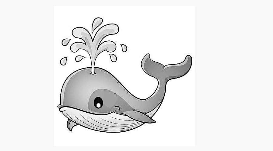 திமிங்கல வேட்டை நிறுத்தப்படுமா?