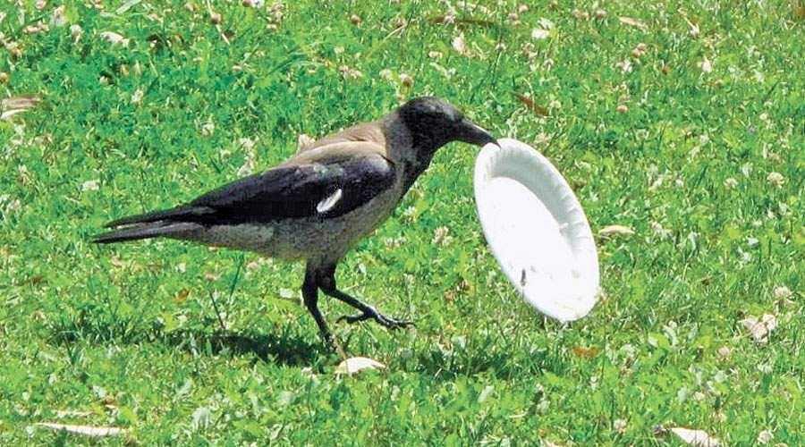 சிறுவர் பாடல்!: உயர்ந்த மனிதர்!