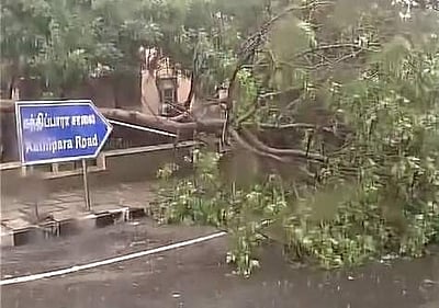 வர்தா புயலில் காணாமல் போனவர்கள் குறித்து 15 நாட்களில் தகவல் தெரிவிக்க  சென்னை ஆட்சியர் கோரிக்கை  