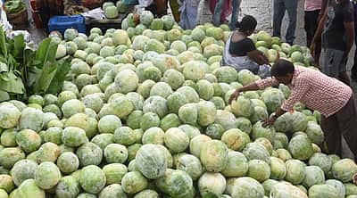 களைகட்டும் ஆயுதபூஜை வியாபாரம்