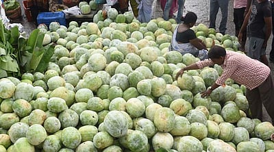 களைகட்டும் ஆயுதபூஜை வியாபாரம்