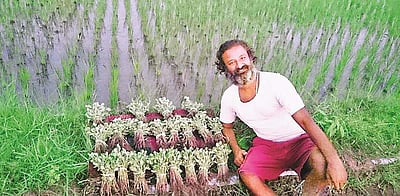 அமெரிக்க மருத்துவ பல்கலைக்கழக வேலையைத் துறந்து இந்திய பாரம்பரிய வைத்தியத்திற்கு திரும்பிய முனைவர் ஹரிநாத் காசிகணேசன் பேட்டி!