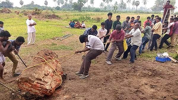 காஞ்சிபுரம் மாகறலீஸ்வரர் திருக்கோயிலில் உழவாரப்பணி