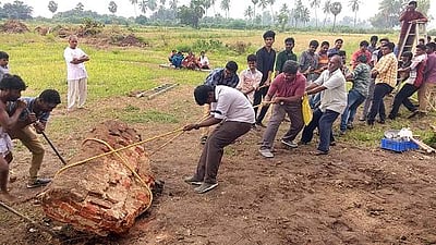 காஞ்சிபுரம் மாகறலீஸ்வரர் திருக்கோயிலில் உழவாரப்பணி