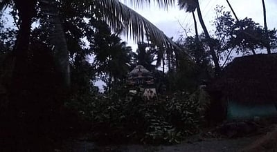 கஜா புயலால் ரூ.10 ஆயிரம் கோடி அளவுக்கு சேதம்: தமிழக அரசு கணக்கிட்டிருப்பதாக தகவல்