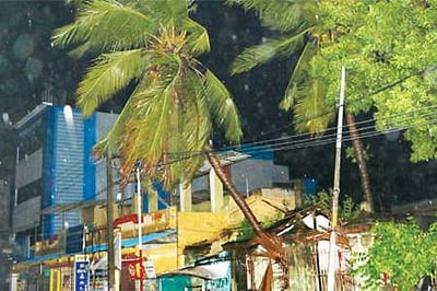 12 மாவட்டங்களில்... நள்ளிரவு 1 மணி வரை மழைக்கு வாய்ப்பு!