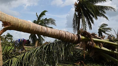 வாழ்வாதாரத்தை இழந்த விவசாயிகள்