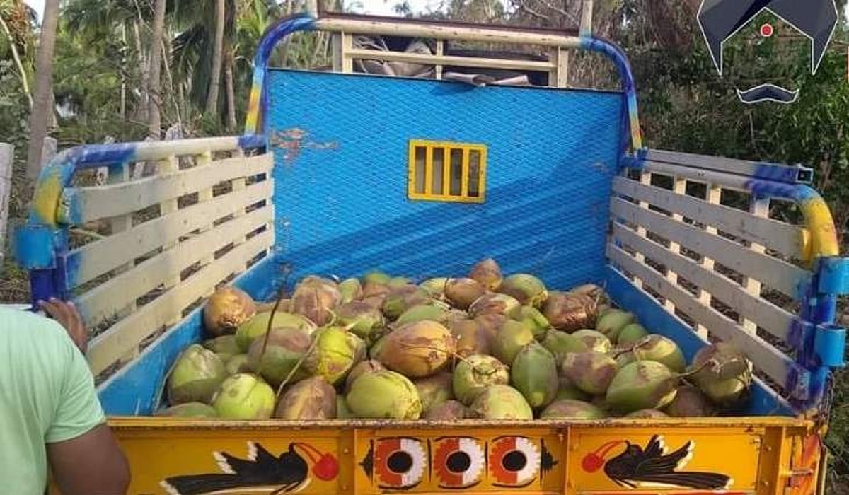 ஜி.வி. பிரகாஷ் அணியினர் செய்த உதவிகளுக்கு இளநீர்களைப் பரிசாக அளித்த டெல்டா பகுதி மக்கள்!