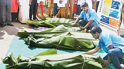இயற்கை மருத்துவத்தில் சிறுநீரக செயல்திறனை மீட்கலாம்: ஆய்வில் தகவல்